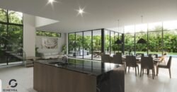Opportunity to Brand New Modern House