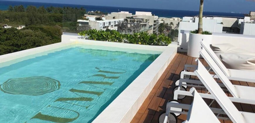 Hermoso Departamento en Playa del Carmen.