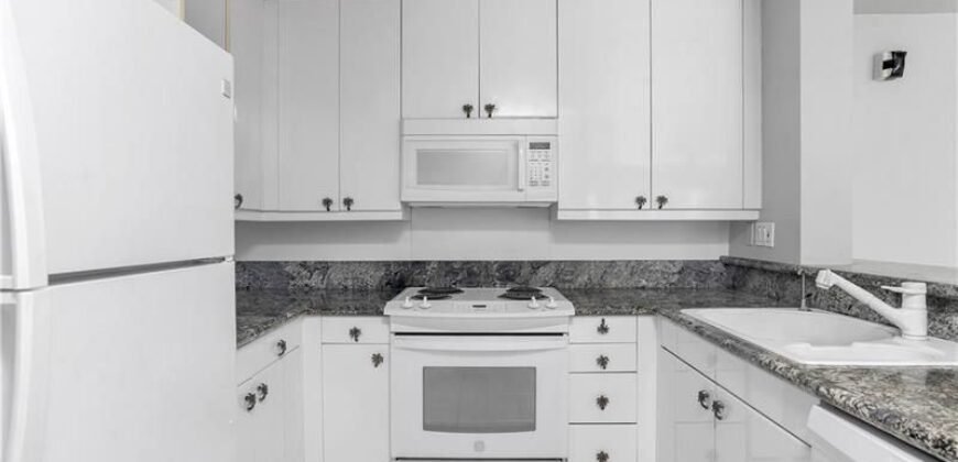 Excellent Apartment for Investors.