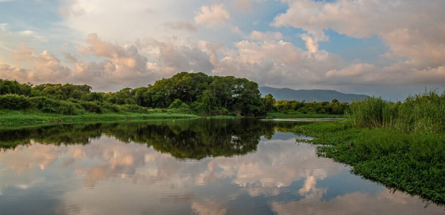 Riviera Coyuca
